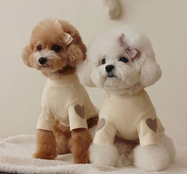 即納販売　Cozy LOVE turtle neck　（Ivory） 韓国犬服