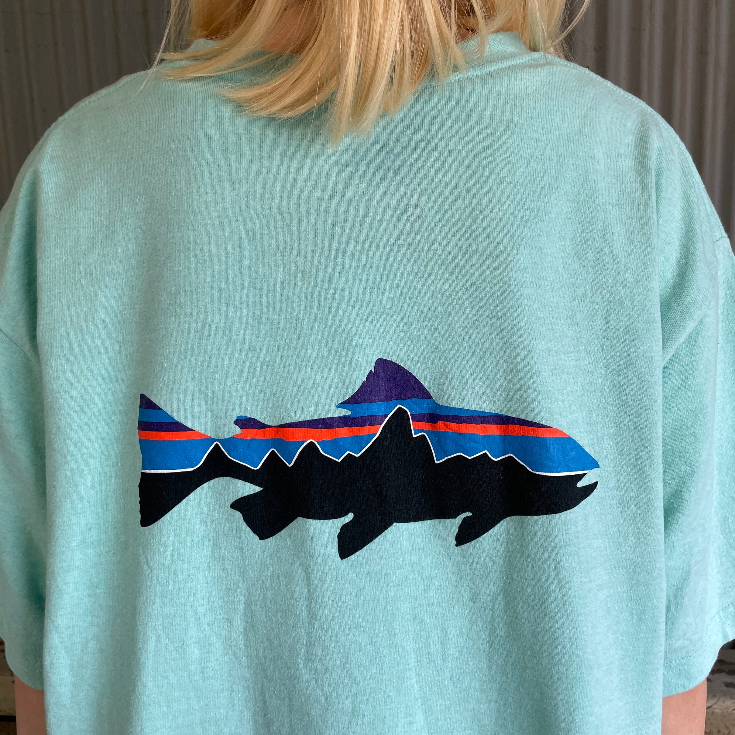 patagonia パタゴニア 胸ロゴ フィッシュロイ バックプリント Tシャツ