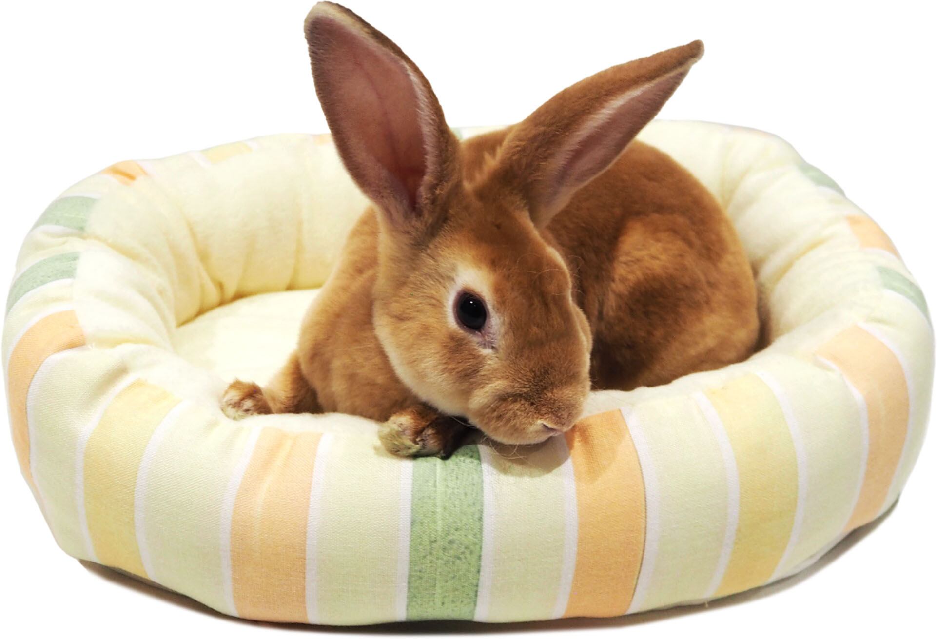 【小動物】 うさちゃんのハッピーベッドストライプ ピンク/イエロー