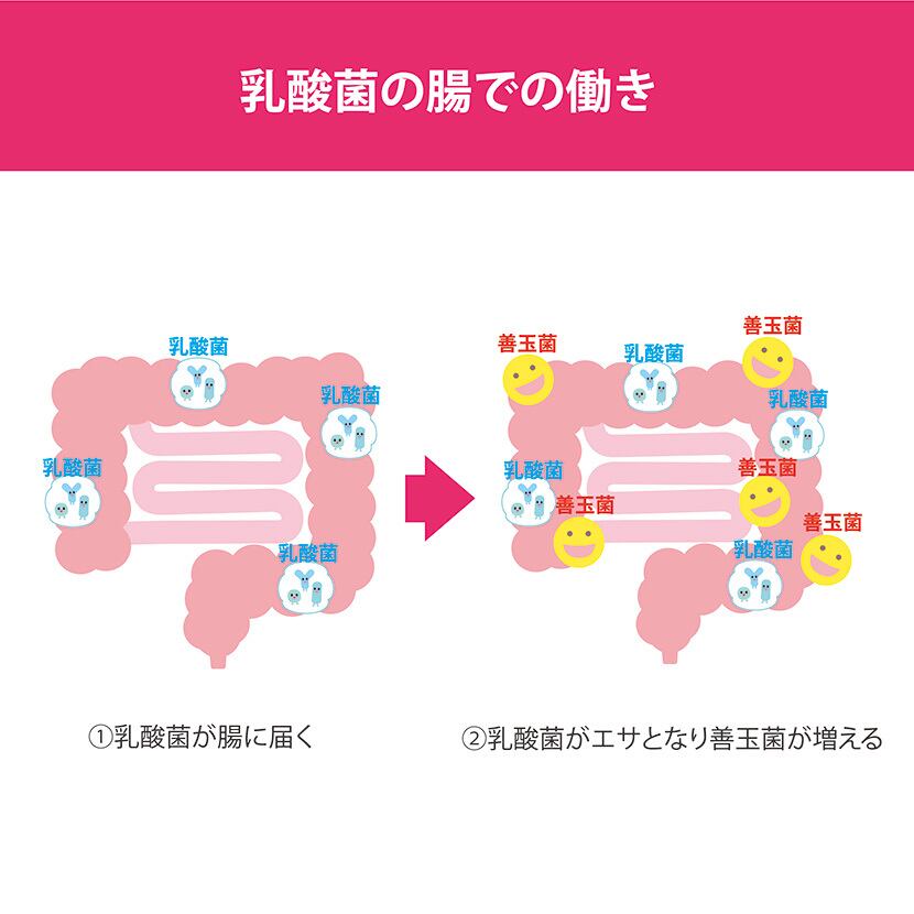 お試し 1家族1回限り リタヘルス5000(約1カ月分)  乳酸菌 酪酸菌 ビフィズス菌 単品1袋