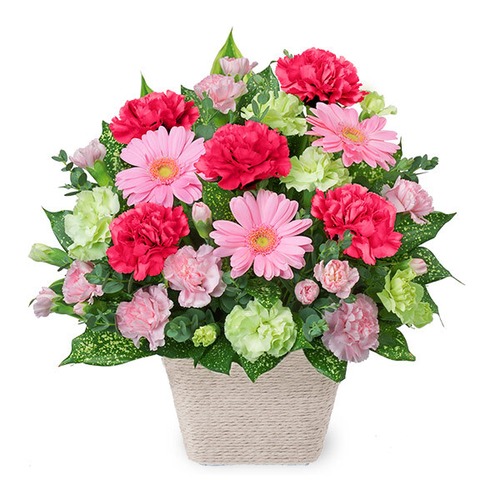 3月オススメ商品④　アレンジメント