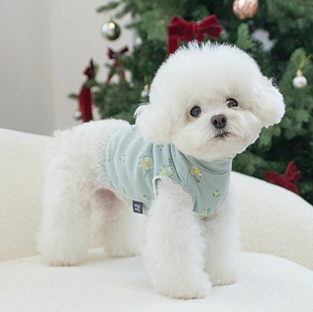 予約【cocochien】BIEL T-shirt