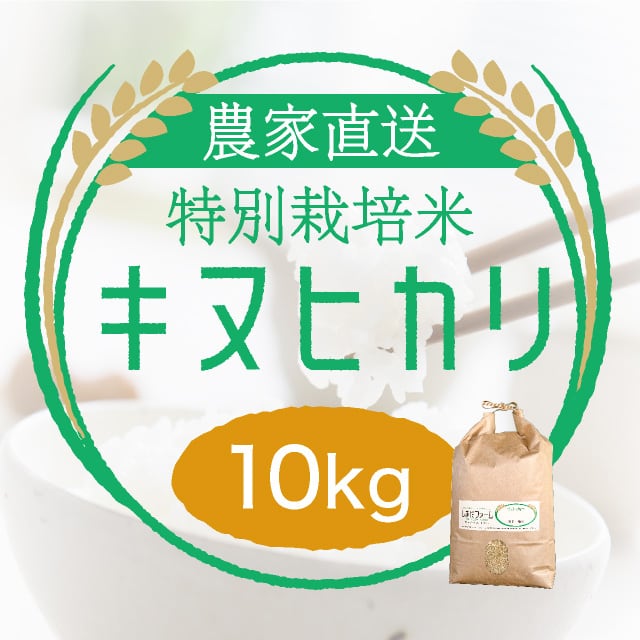 農家直売・特別栽培米 日本晴 玄米10kgまたは白米9kg〈1週間以内で発送