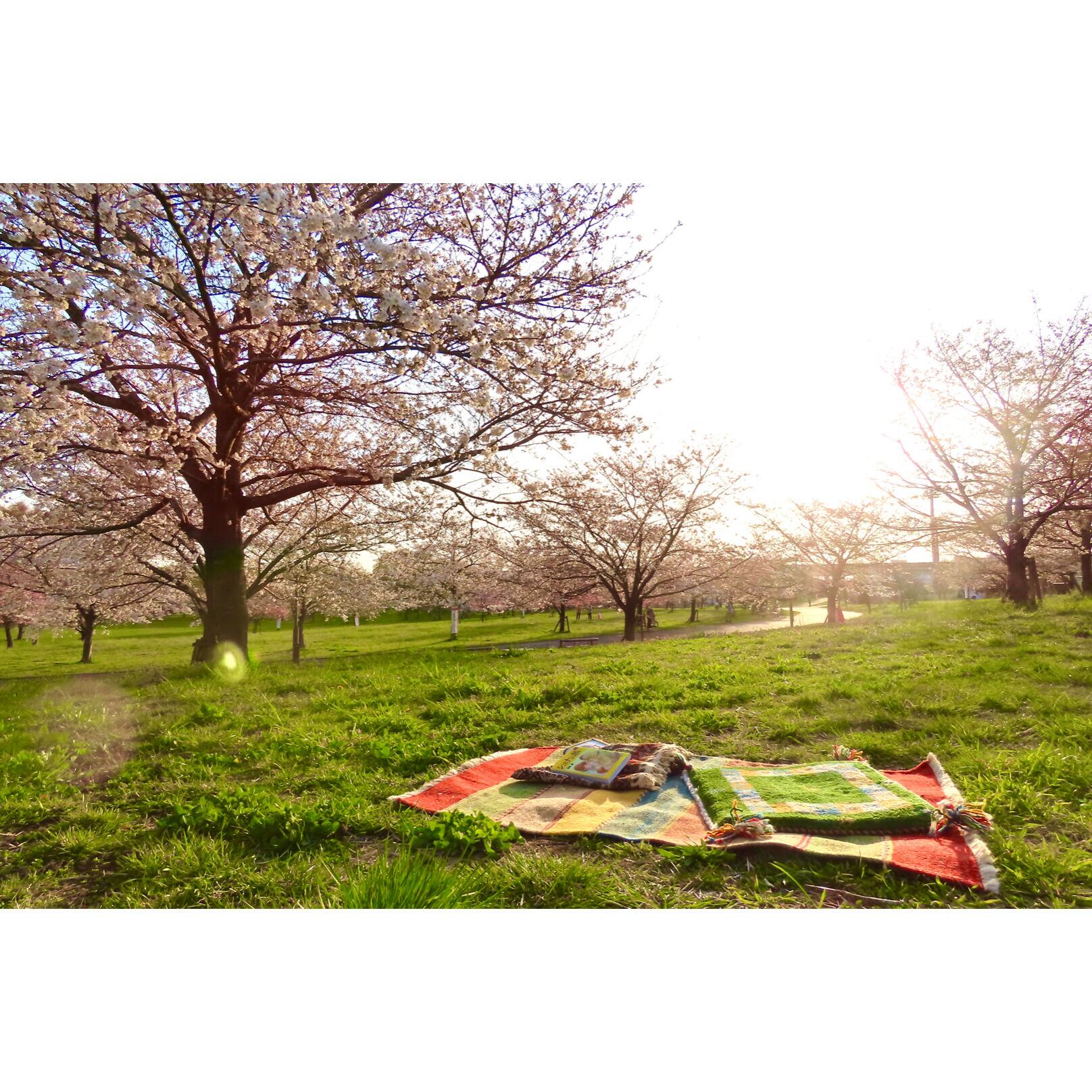 ギフトピクニックセット