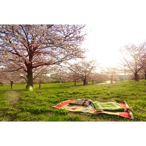 ギフトピクニックセット