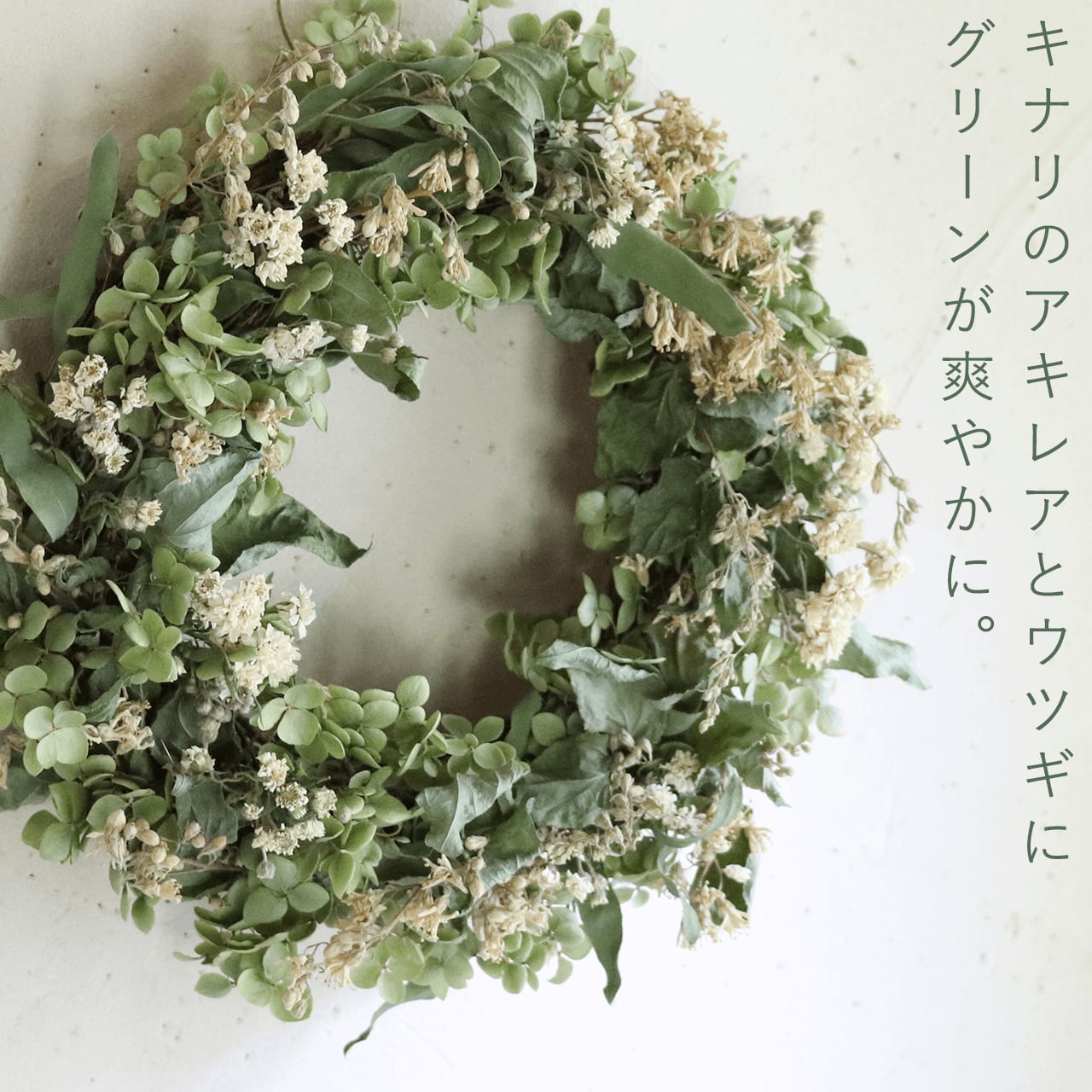 ＊Natural＊ミモザとアナベルのリース☆ドライフラワーリース Natural＊ミモザとアナベルのリース☆ドライフラワーリース ドライ