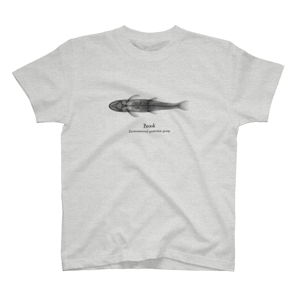 Ash(Brook X-ray Back Trout S/S TEE