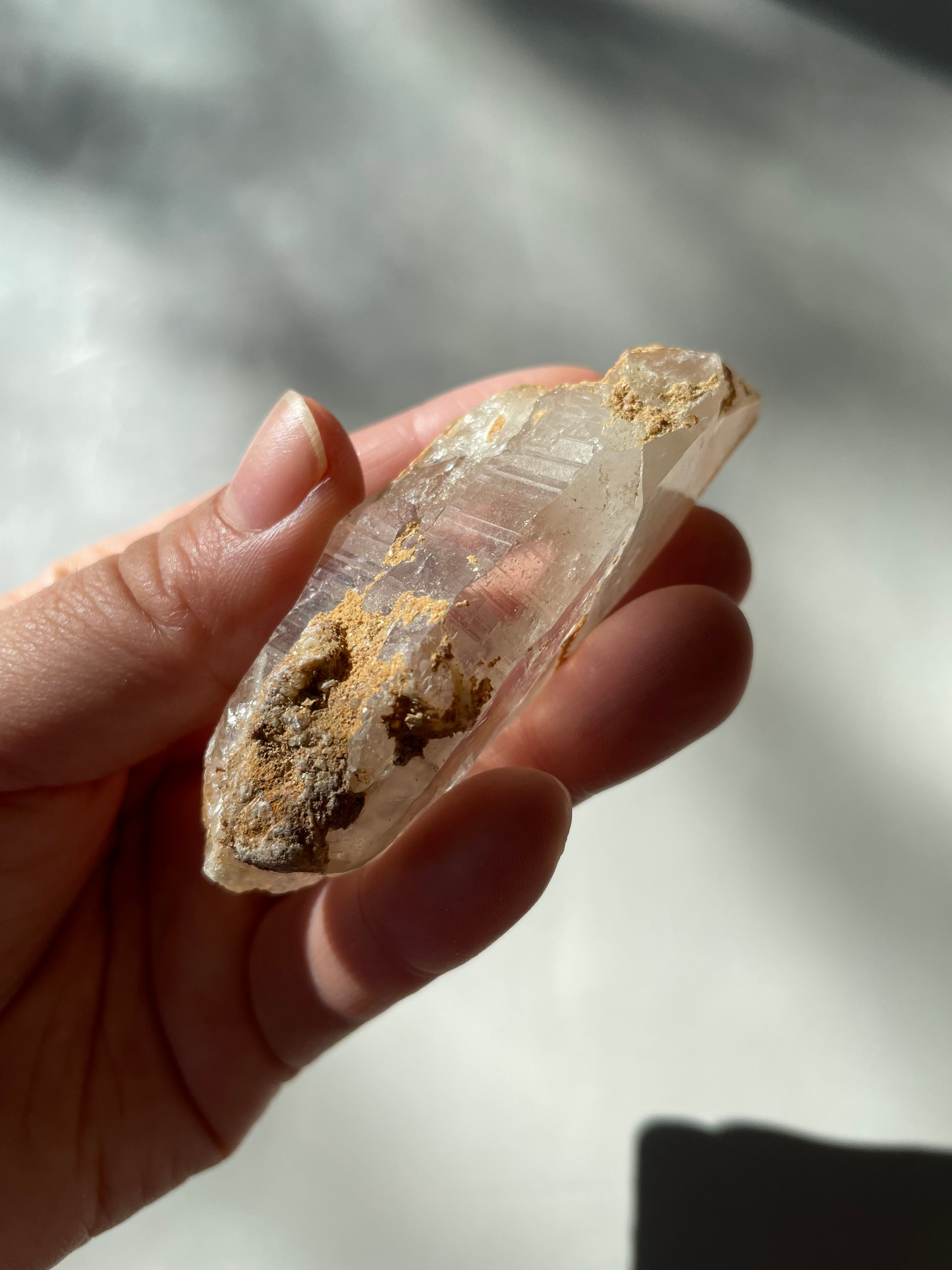 パキスタン　ギルギット　スカルドゥ産　ゴールデンヒーラー　DT