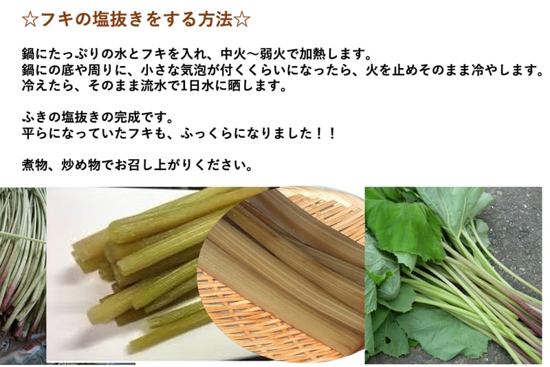 発売中【天然山菜】【山ふきの塩漬け1Kg】自然の恵み 山形県飯豊町産【送料無料】 こだわり市場 山形県産 フキ 塩漬け 450g 塩蔵 山ふき 蕗 山菜 野菜