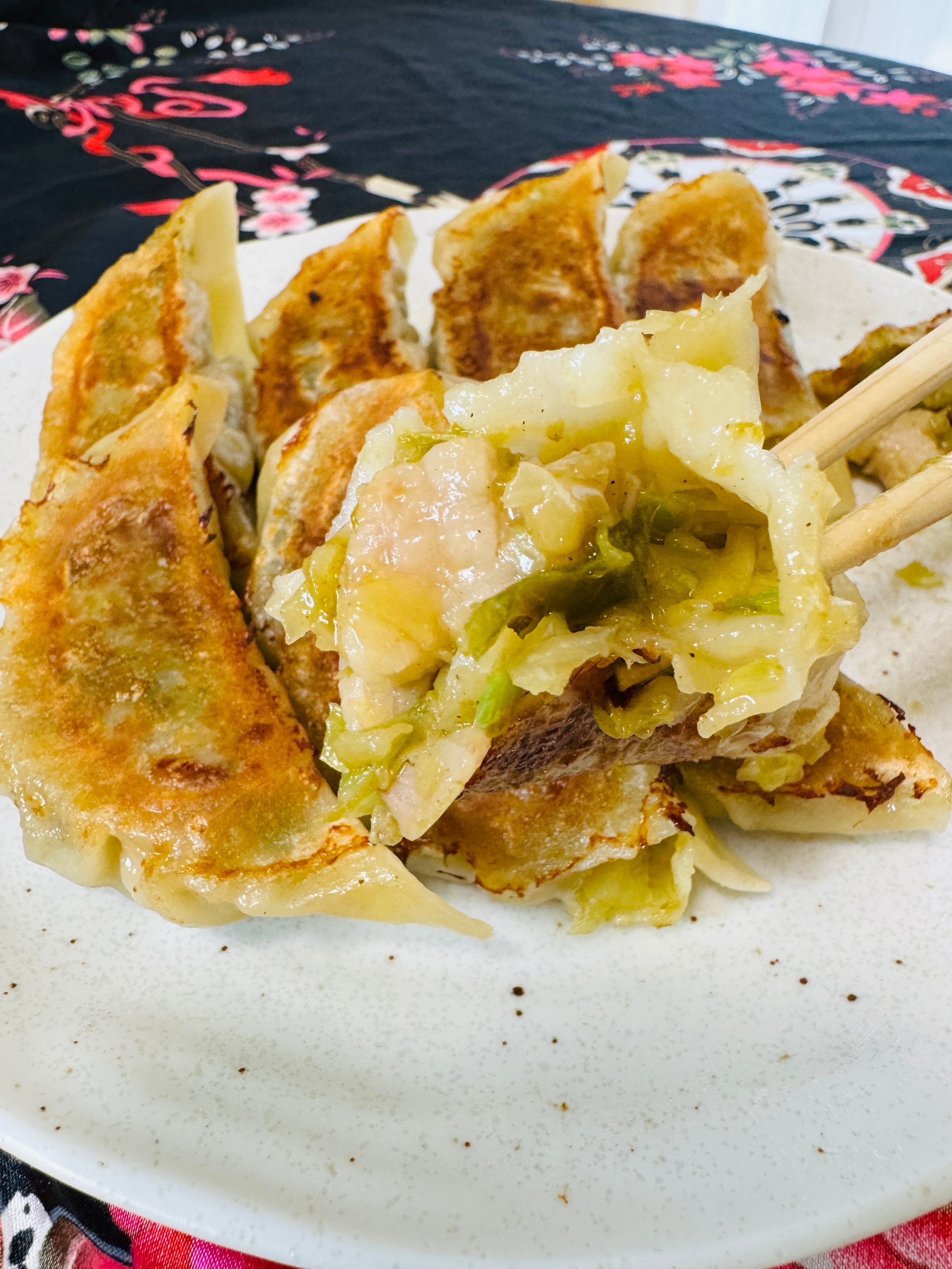 花伝の生冷凍餃子(5粒入) | 冷凍グルメ工房 餃子花伝-Gyoza Kaden-