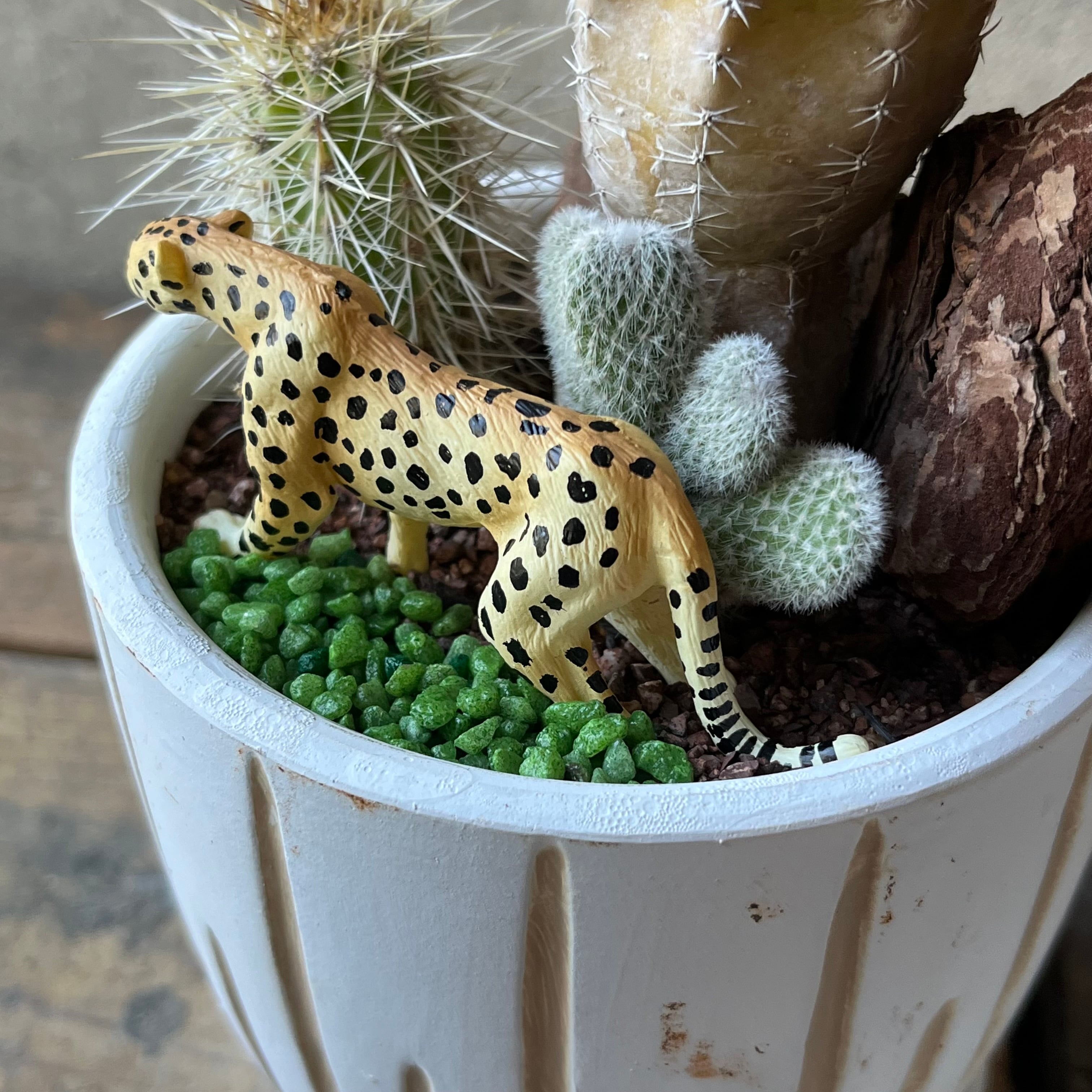 Cheetah | SABOTEN MISSILE