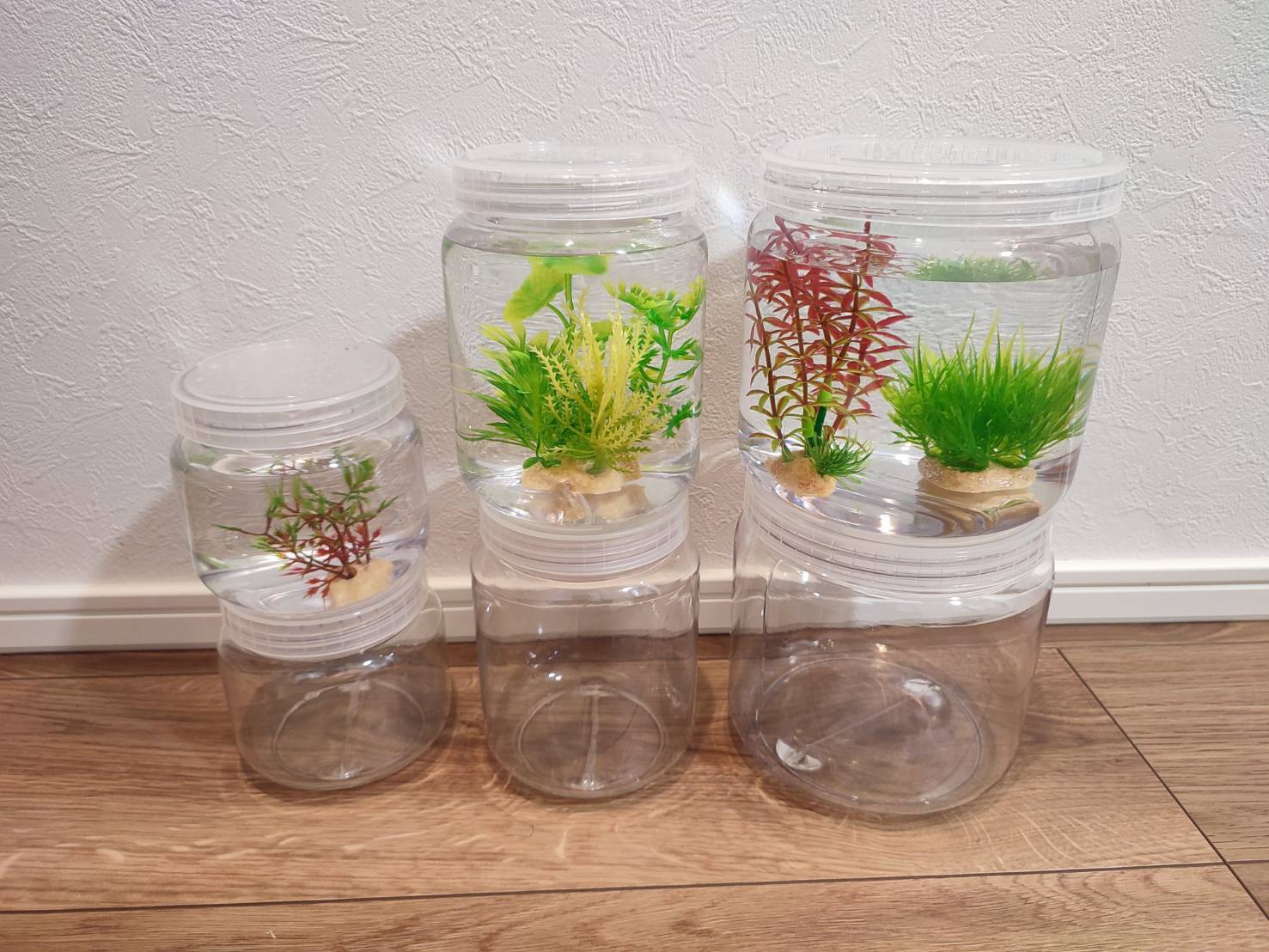 飼育容器500ml昆虫飼育ケース2個セット（幼虫、昆虫、カブトムシ