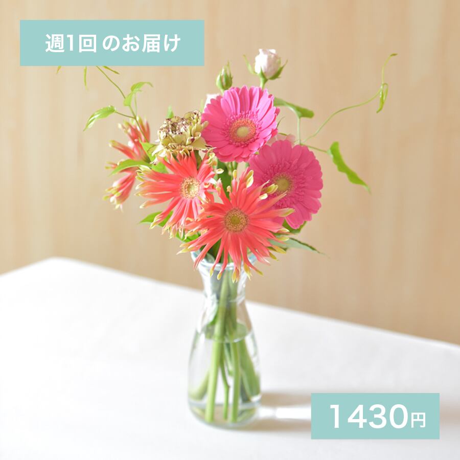 お花の定期便】週1回のお届け 1430円 | 【お花の定期便】hanacalin
