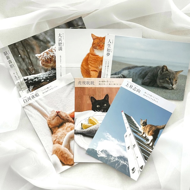 猫ポストカード(にゃんこ四字熟語)6枚セット