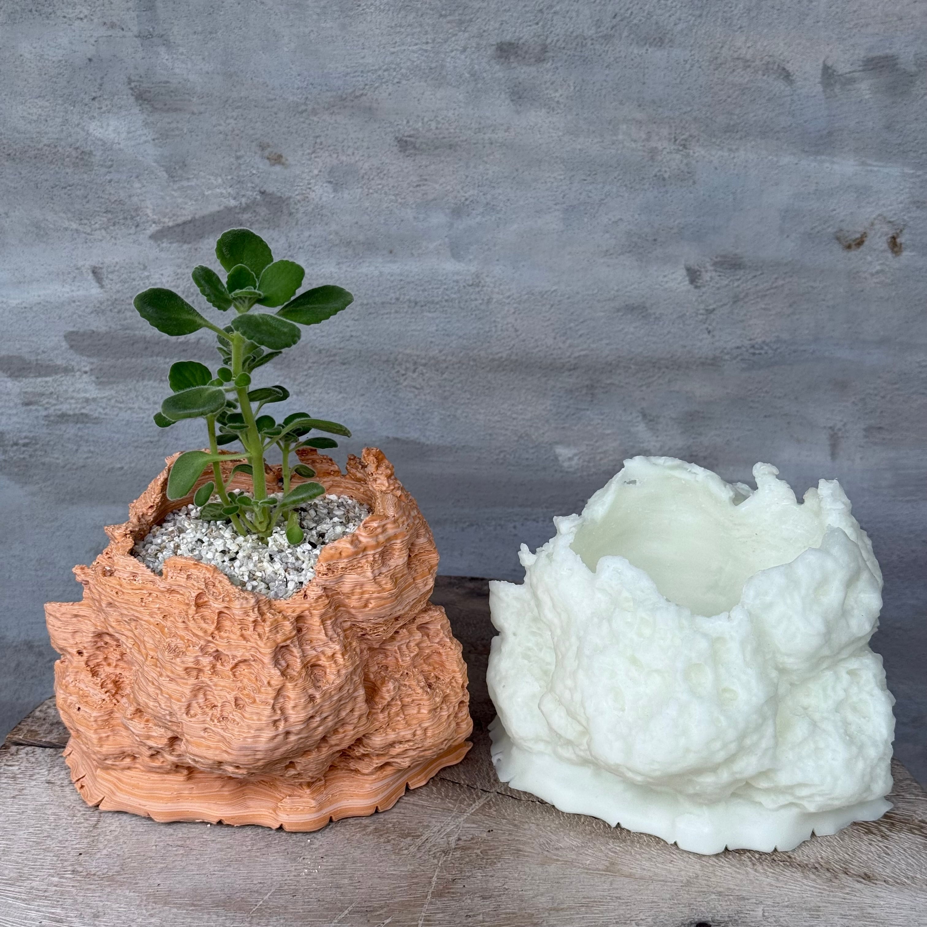 鉢】石の3Dプリンター鉢！ Fat Works A-PLANTS | A-PLANTS
