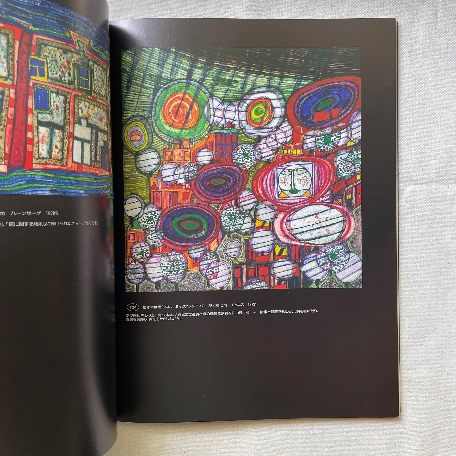 フンデルトヴァッサー 5枚の皮膚を持った画家王 / ピエール