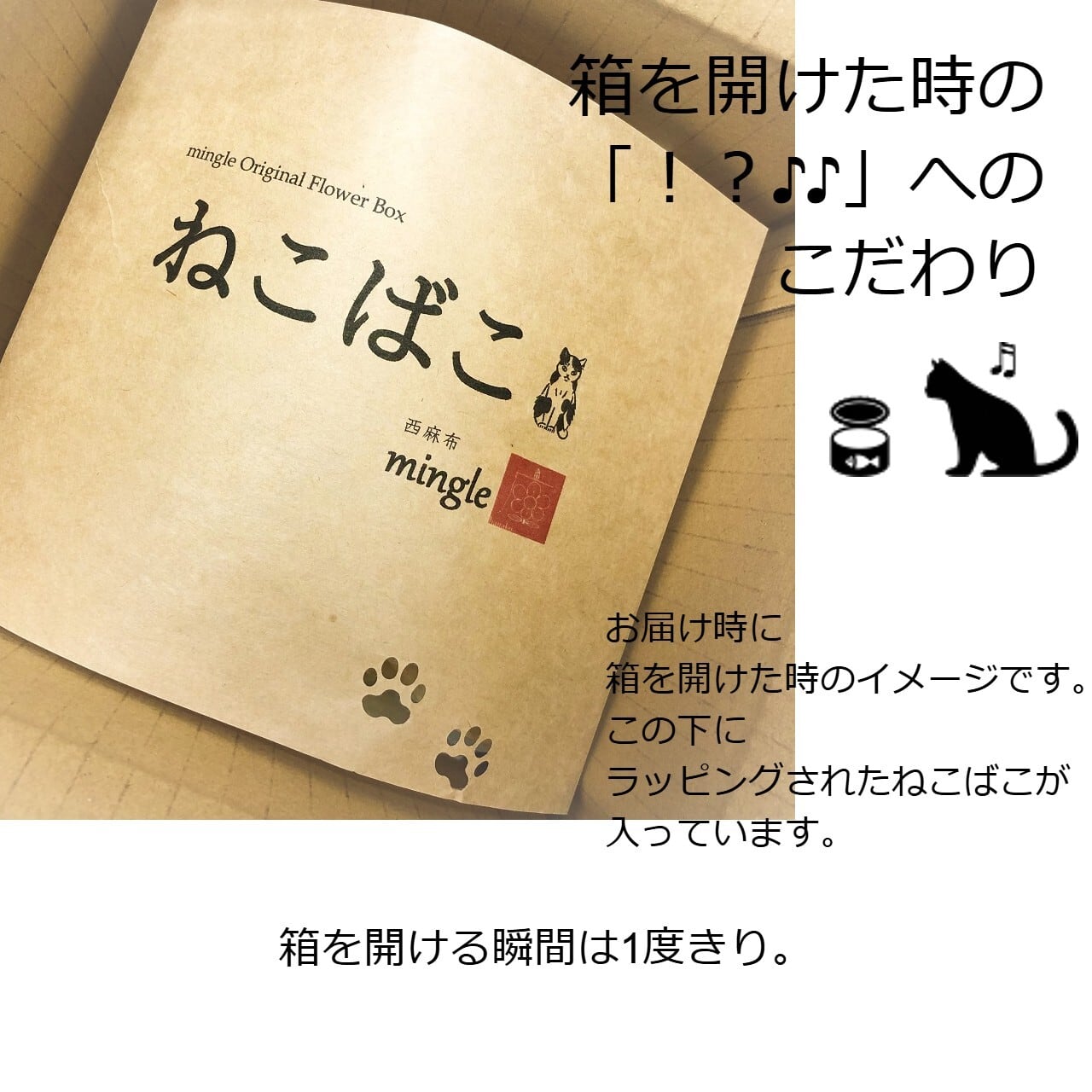 ねこばこ Olivia オリビア オリジナル 猫型 フラワーボックス | 西麻布