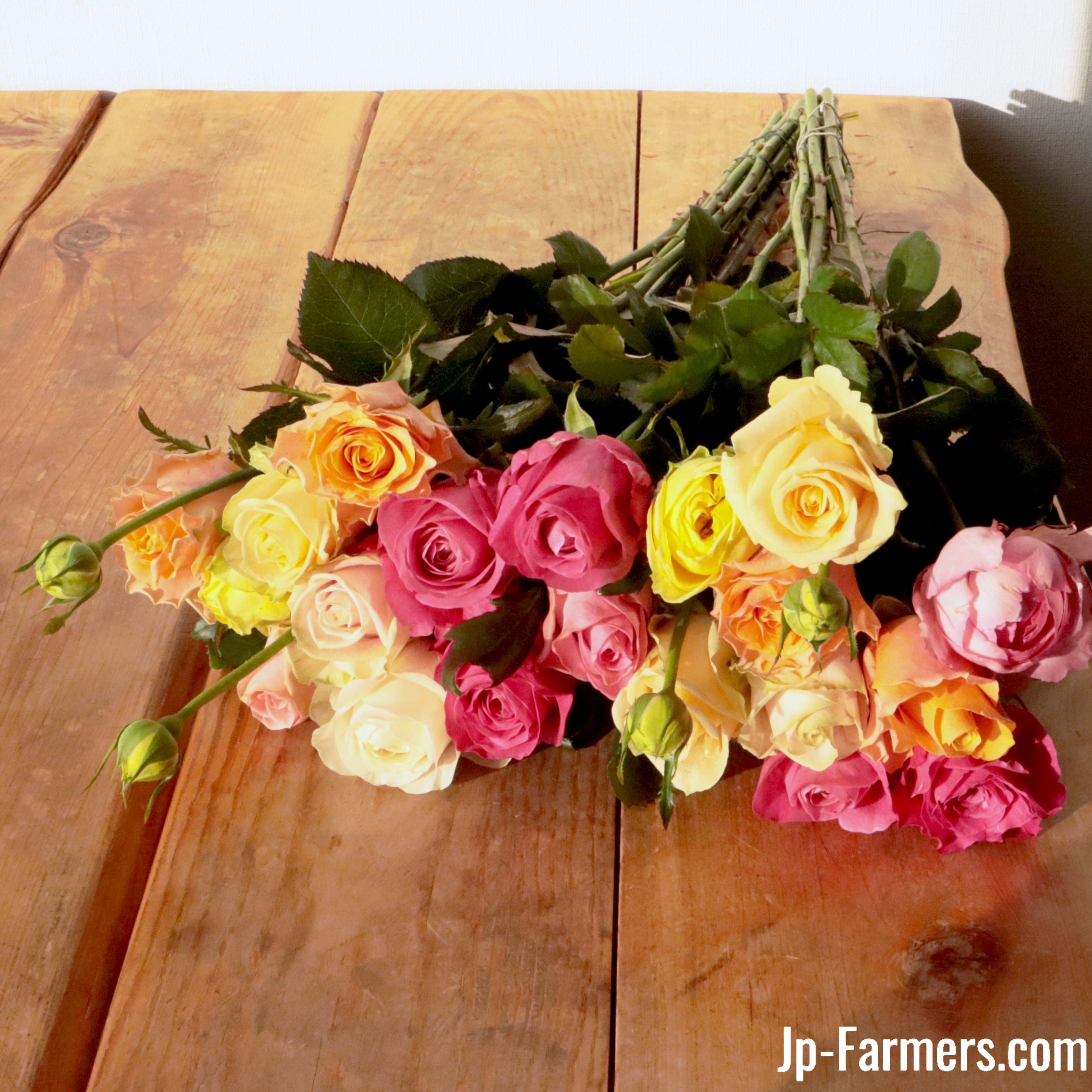 バラエティ豊富なバラを楽しめる！バラアソート 20本 | 新鮮お花問屋