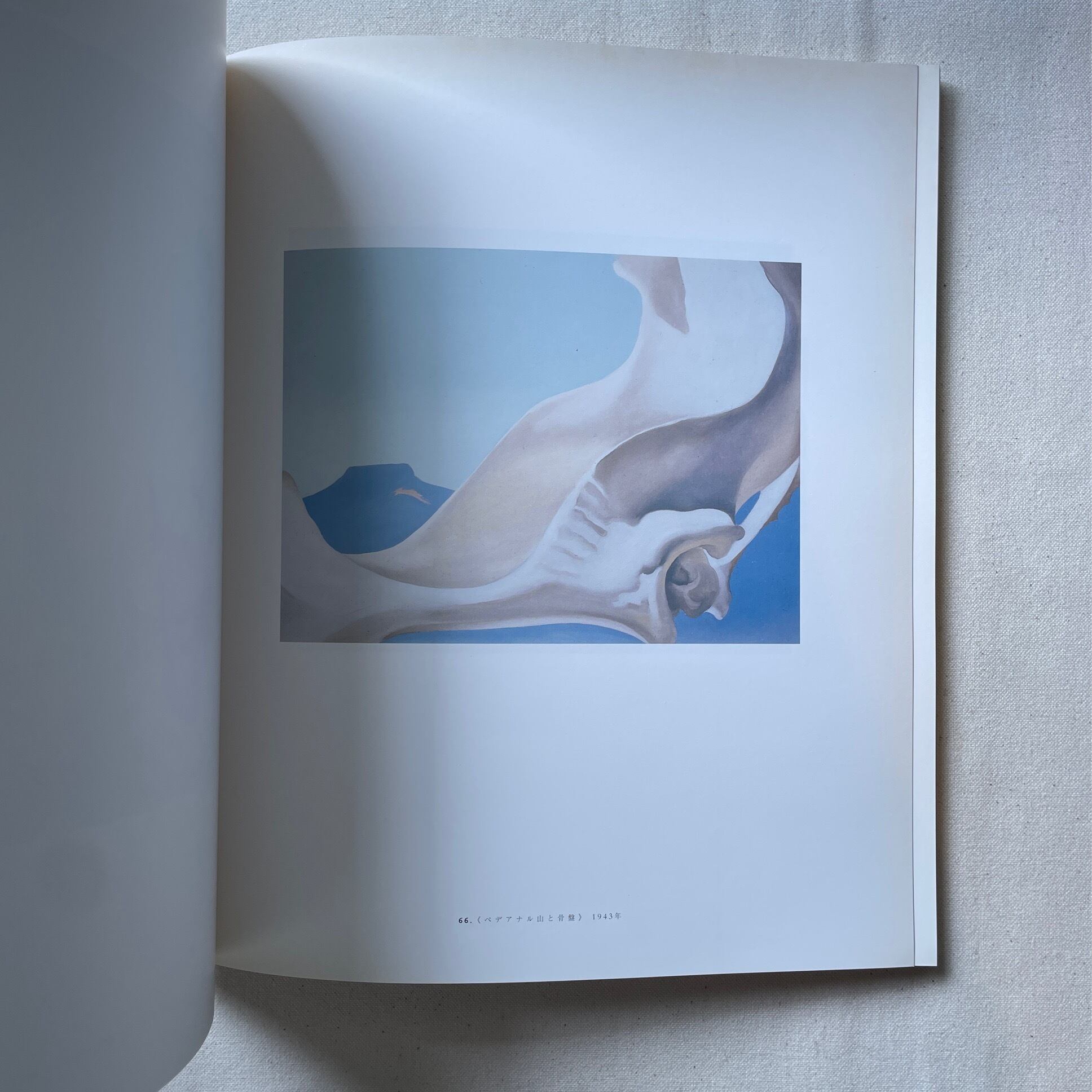 ジョージア・オキーフ アメリカン&モダン展 | 汀線 / TEISEN BOOKS