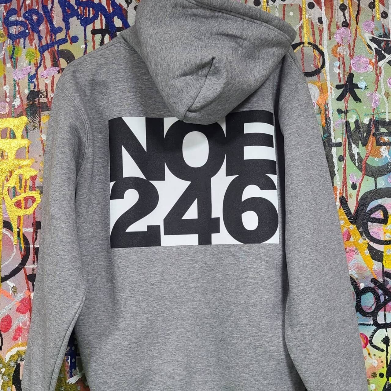 NOE246 hoodie gray | Pay ID
