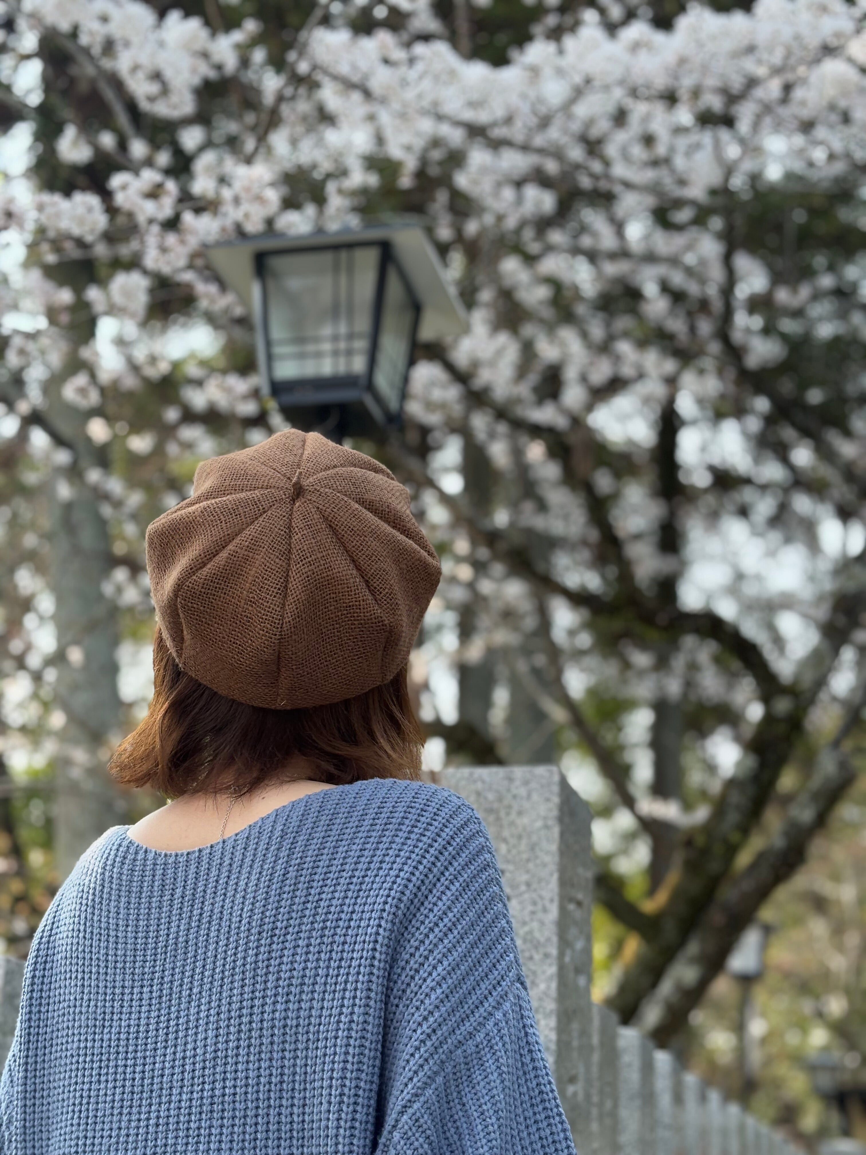 アップルベレー(ドンゴロス ブラウン)