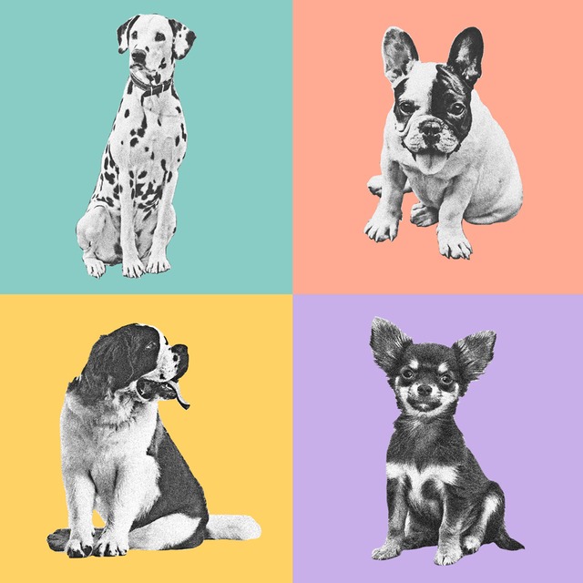 リアルタッチポップアート 犬猫 ペットうちの子似顔絵 おしゃれな犬猫 ペットの似顔絵 オリジナルペットグッズ モニマル