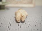 帽子をかぶった小便小僧さん　ビスク 画像8