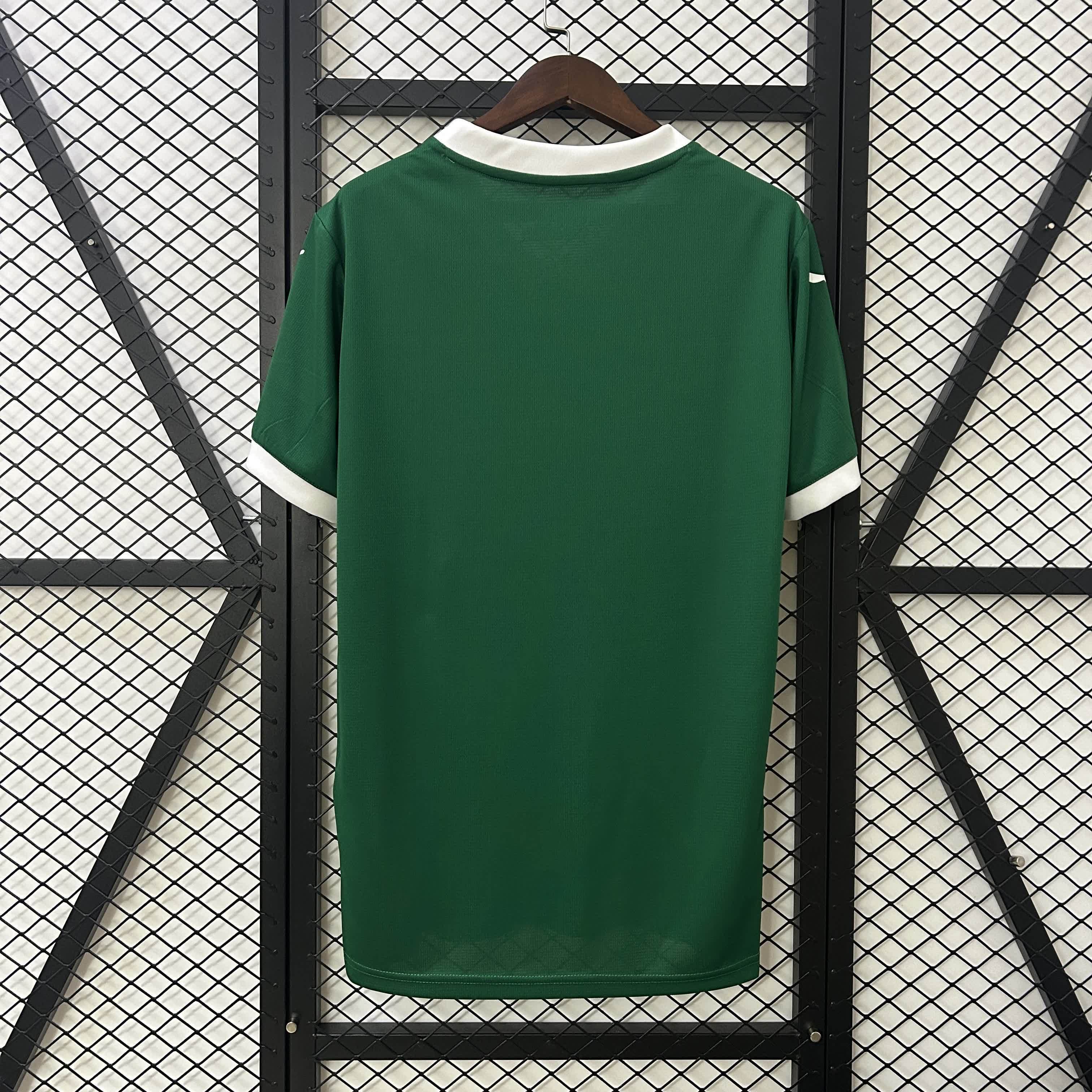 25-26 Palmeiras home Jersey パルメイラス 25-26 ホーム 半袖
