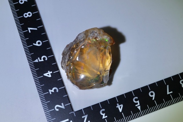 エッグ・イン・オパール Opal Egg 1331