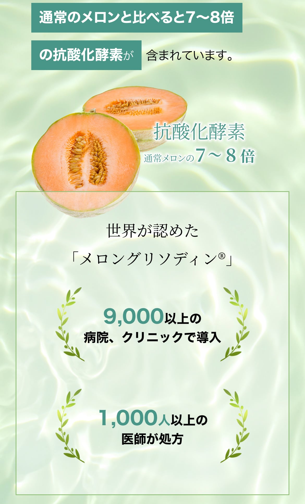 消費税無し トゥジューメロン trandecol.com