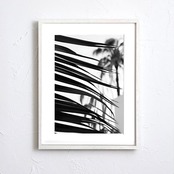 palm leaf｜モノクロで描く大人のパームツリーアートポスター｜西海岸テイストと白黒インテリアに映えるスタイリッシュな一枚A3ポスター