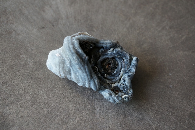 コンシャ・アゲート Concha Agate 895