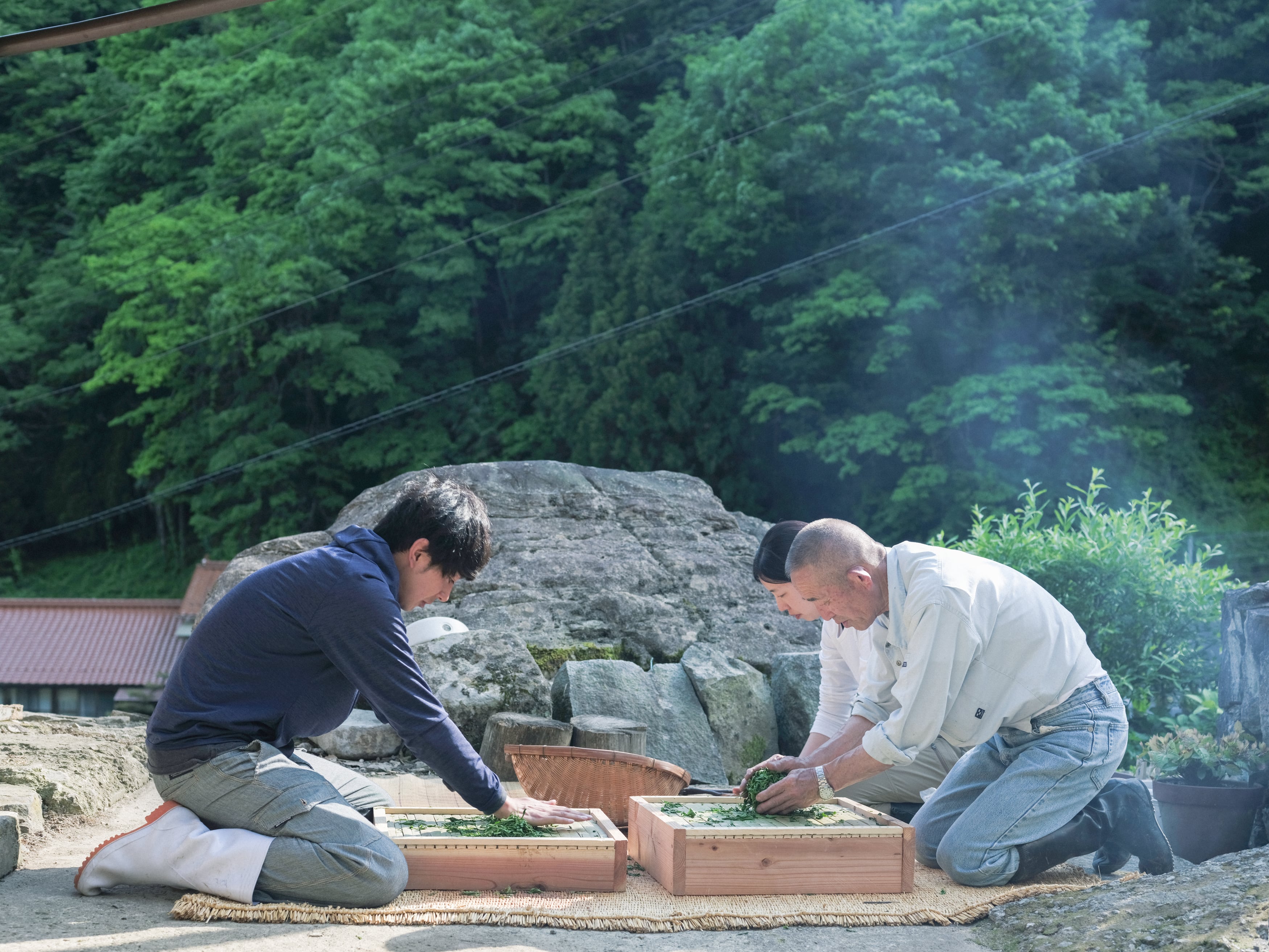 新茶】7月中頃発送予定_釜炒り茶 Lサイズ SOTTOCHAKKA ソットチャッカ