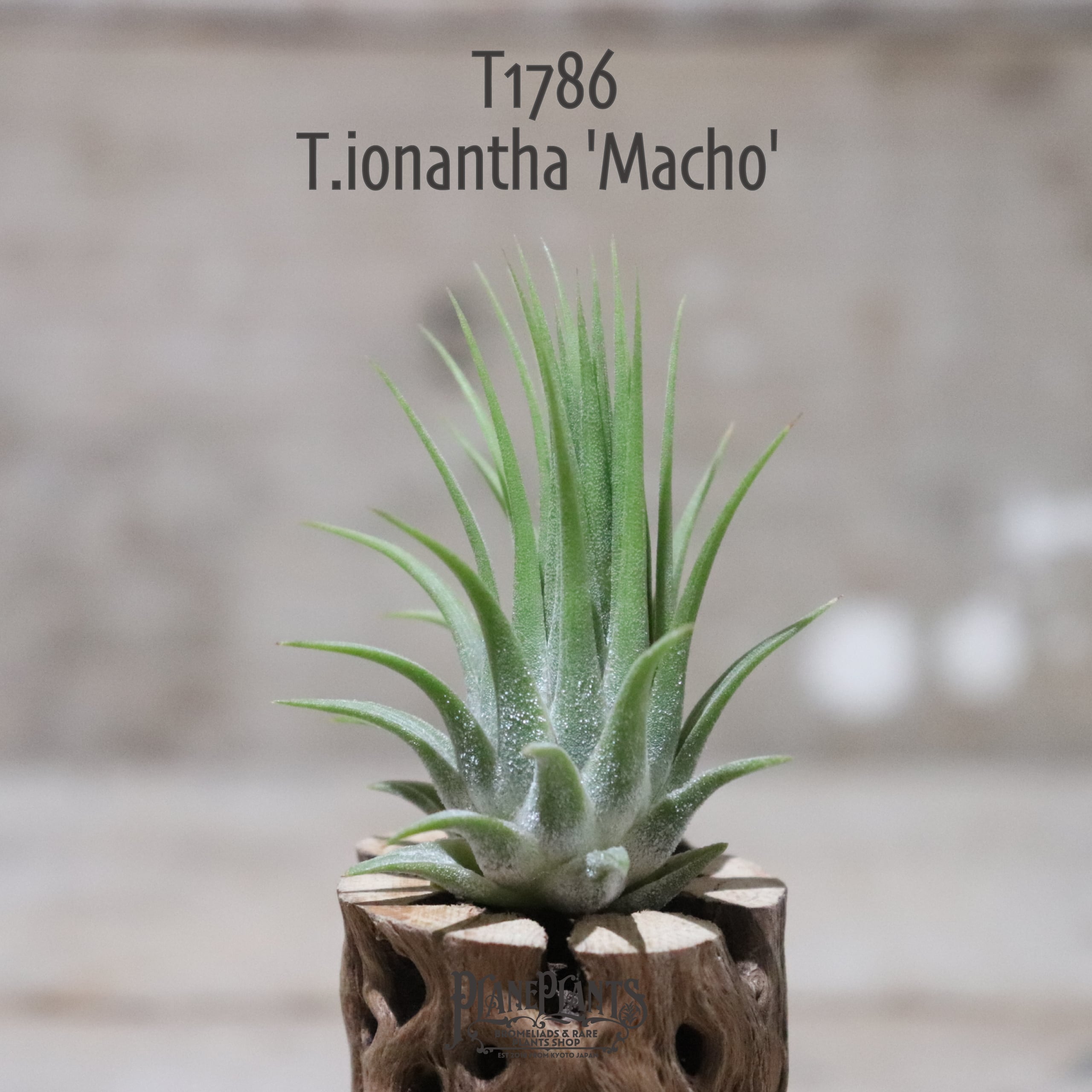 0d70b69a330fa2de5da1fa24911416