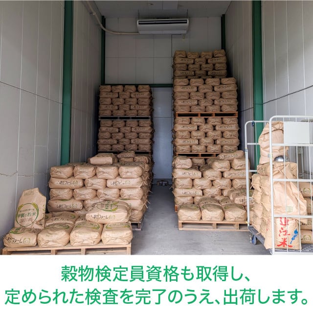 年間予約・定期便〉きぬむすめ 農家直売・特別栽培米 滋賀県産・近江米