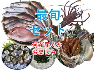 大王崎ヒカリモノ最旬セット