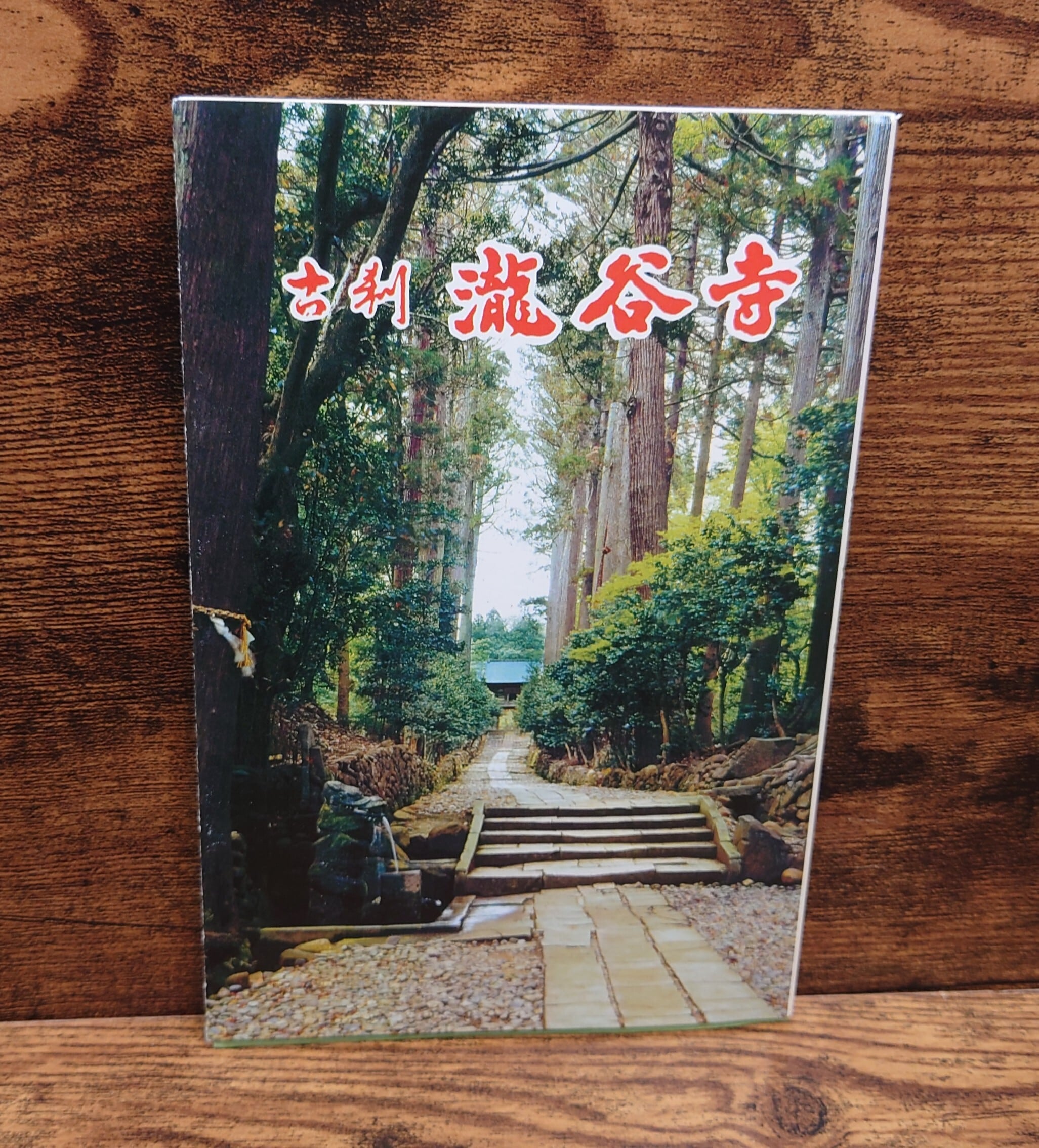 とってもすてきなあそび（かこさとし あそびの本4） | 弥生坂 緑の本棚