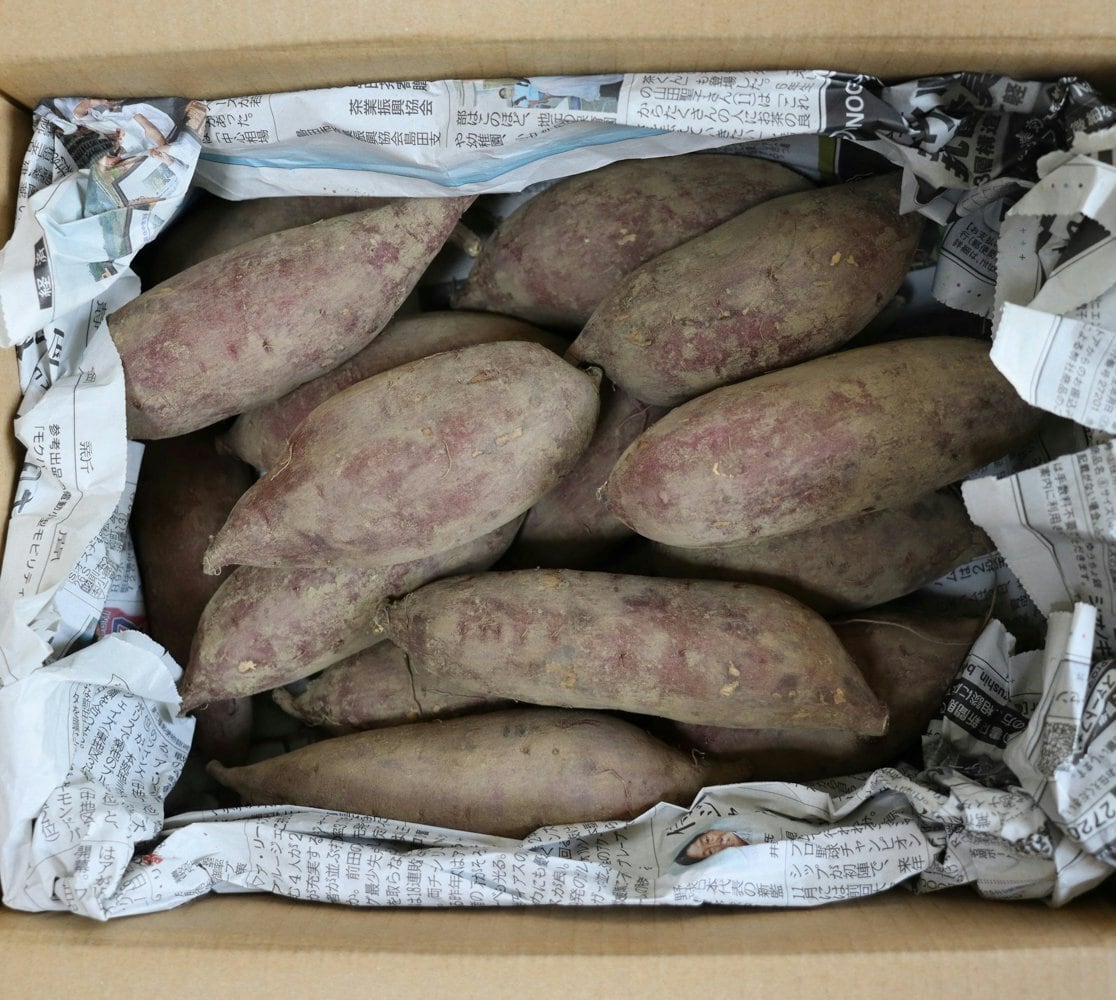 生いも 1.8kg・サイズ混合】無農薬・化学肥料不使用 さつまいも（品種 