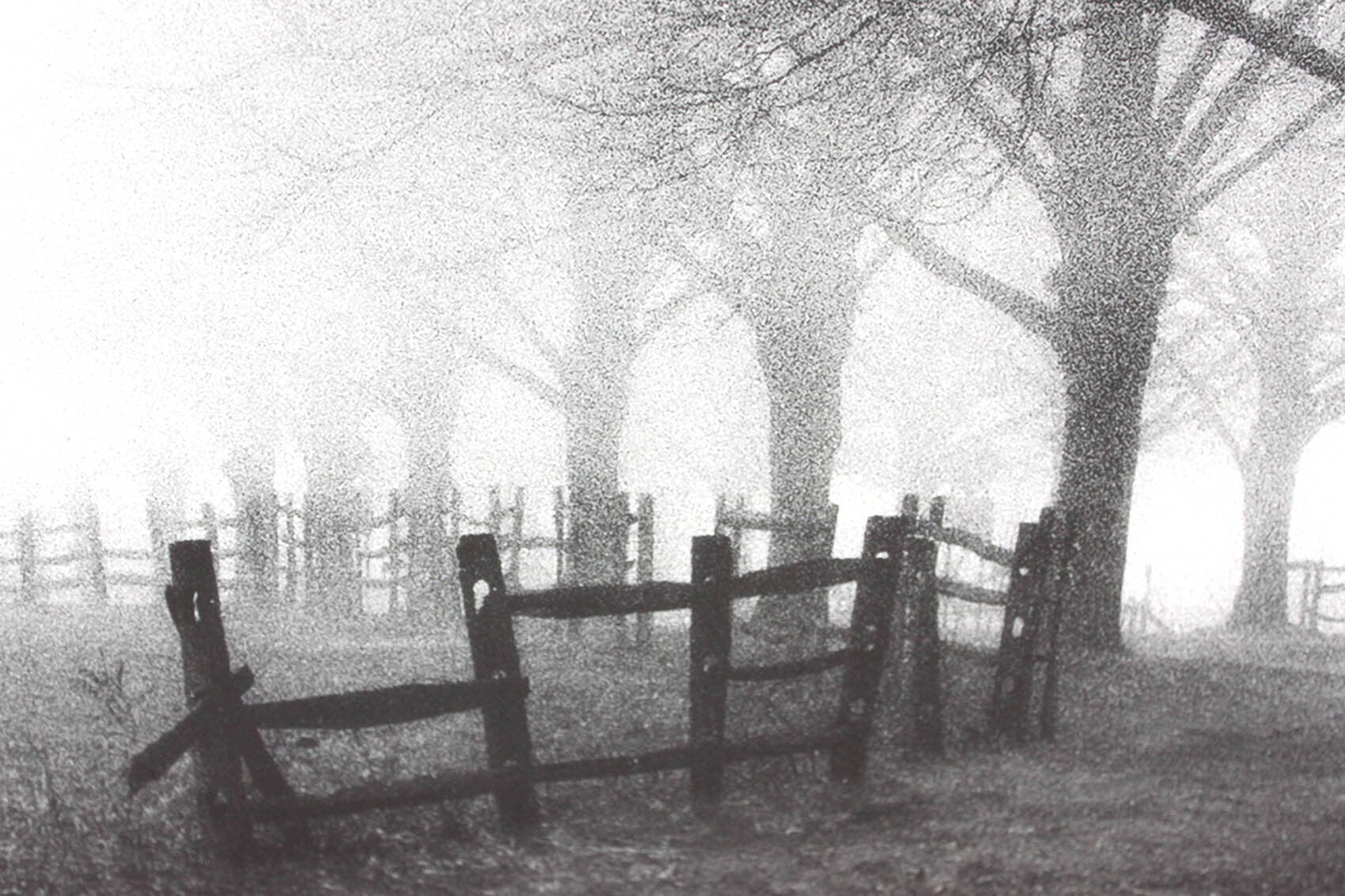 モノトーンアート ハロルド シルバーマン「モノクロの朝」額縁 フック