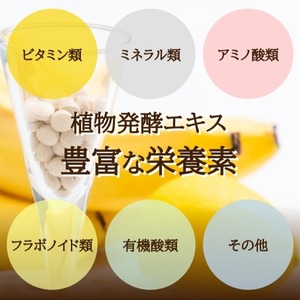 酵素 乳酸菌サプリ -１か月分- 酵母 麹 デキストリン キダチアロエ配合 腸からキレイを目指すあなたへ