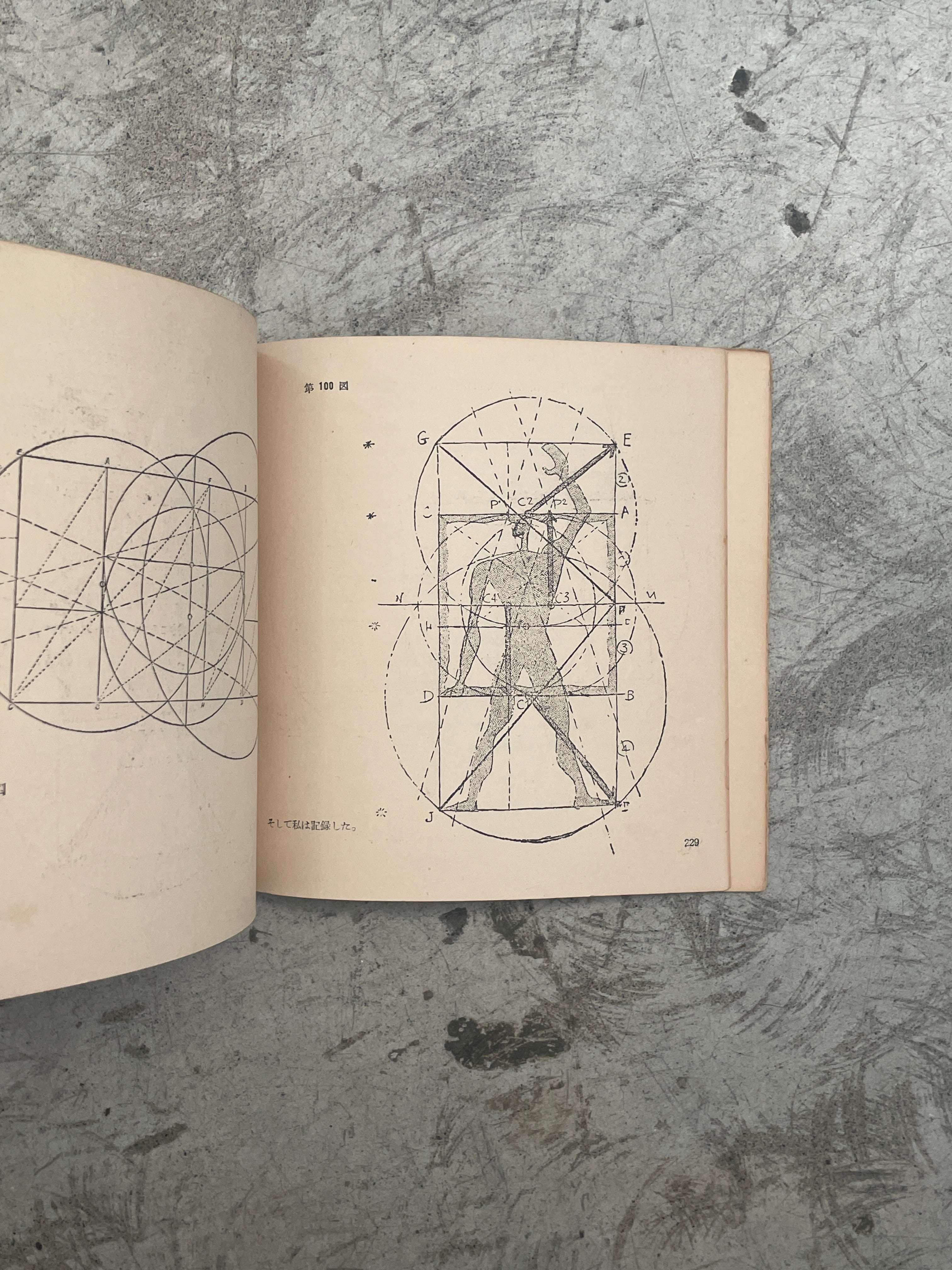 3316.ル・コルビュジエ モデュロール（黄金尺）日本版 | 帽子堂