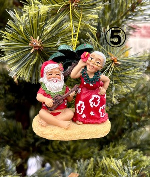 ハワイアンサンタ