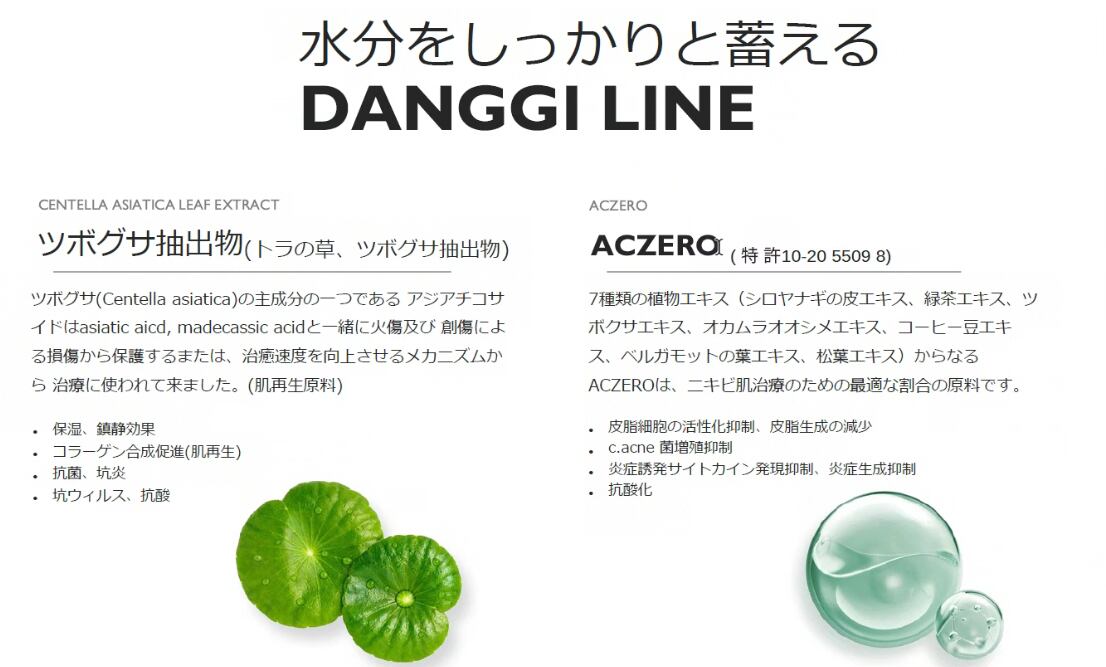 DANGGI クレンジングミルク 200ml | itta