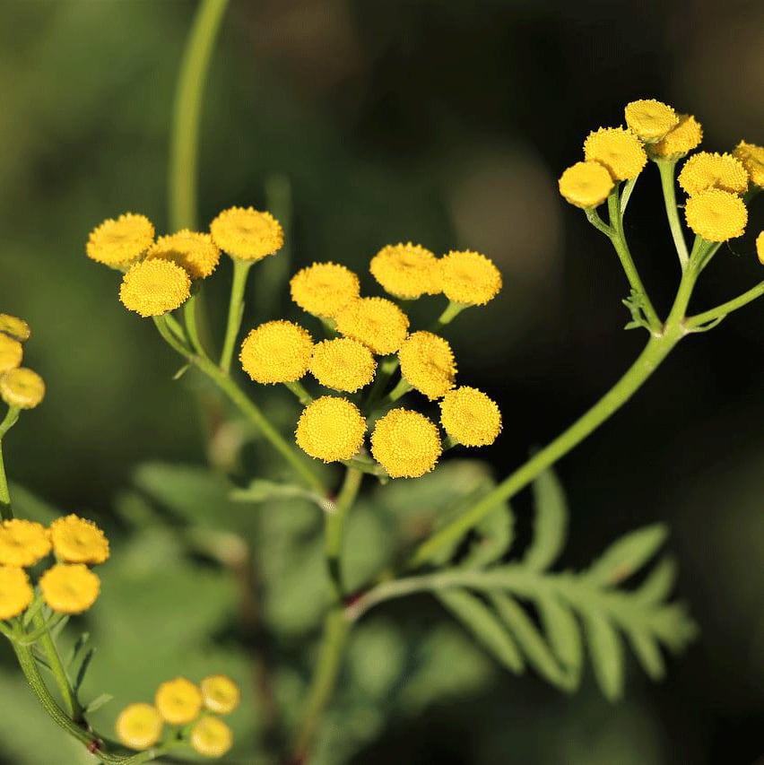 0d82d2328041a2910fd8590f9e54e8