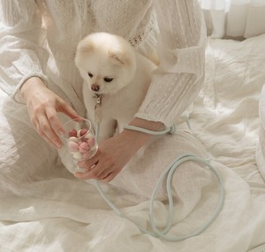 即納【stroll】Rope Leash Slim (Soda)