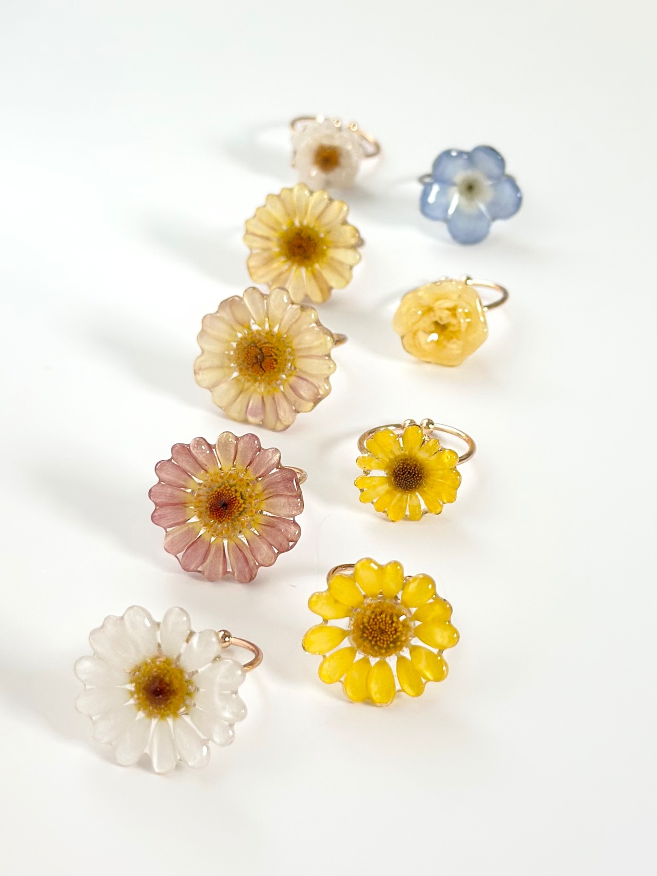 real flower ring「yellow daisy 」【1点限定】