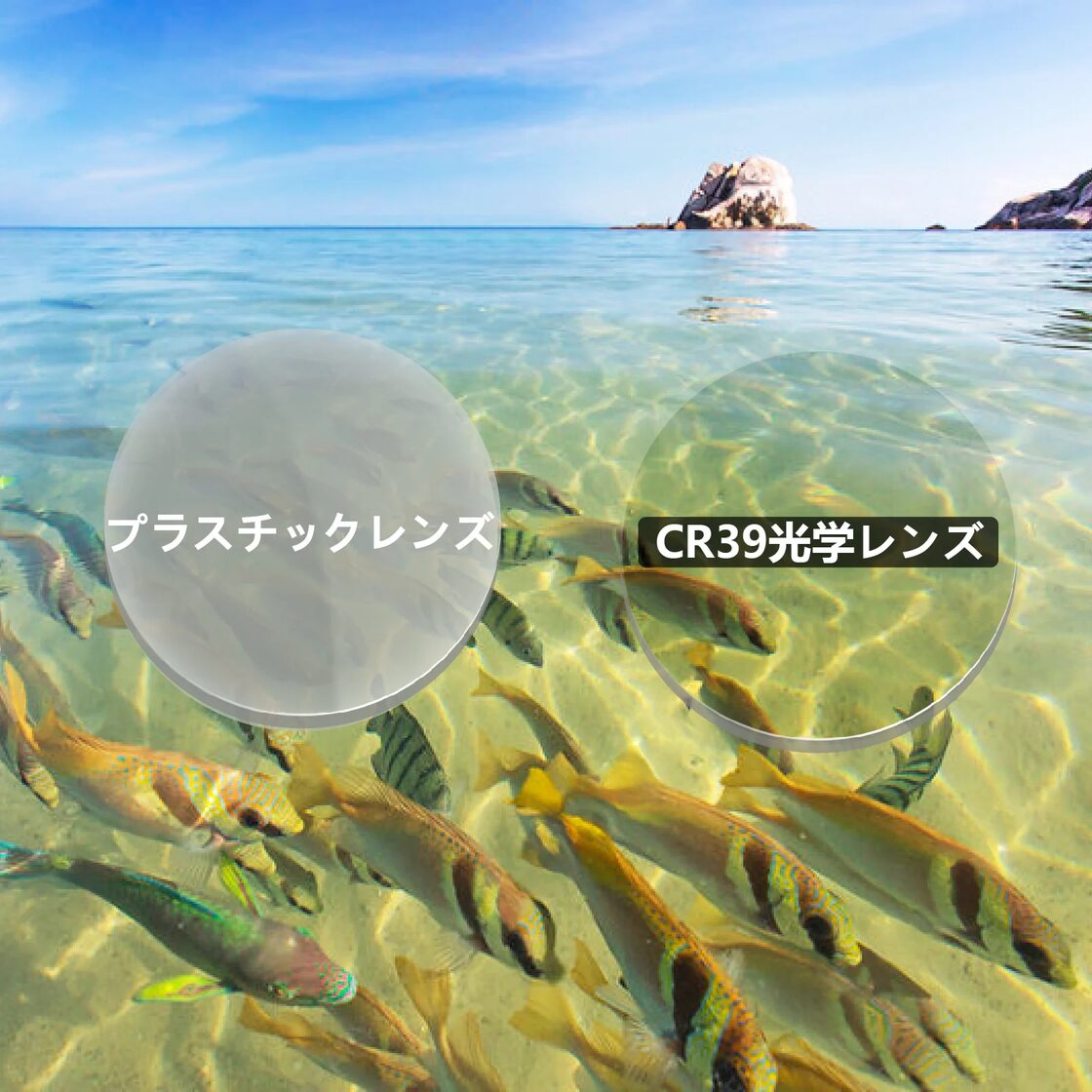 ゴメクサス/偏光サングラス/CR39光学レンズ/UV99%カット ウェリントン