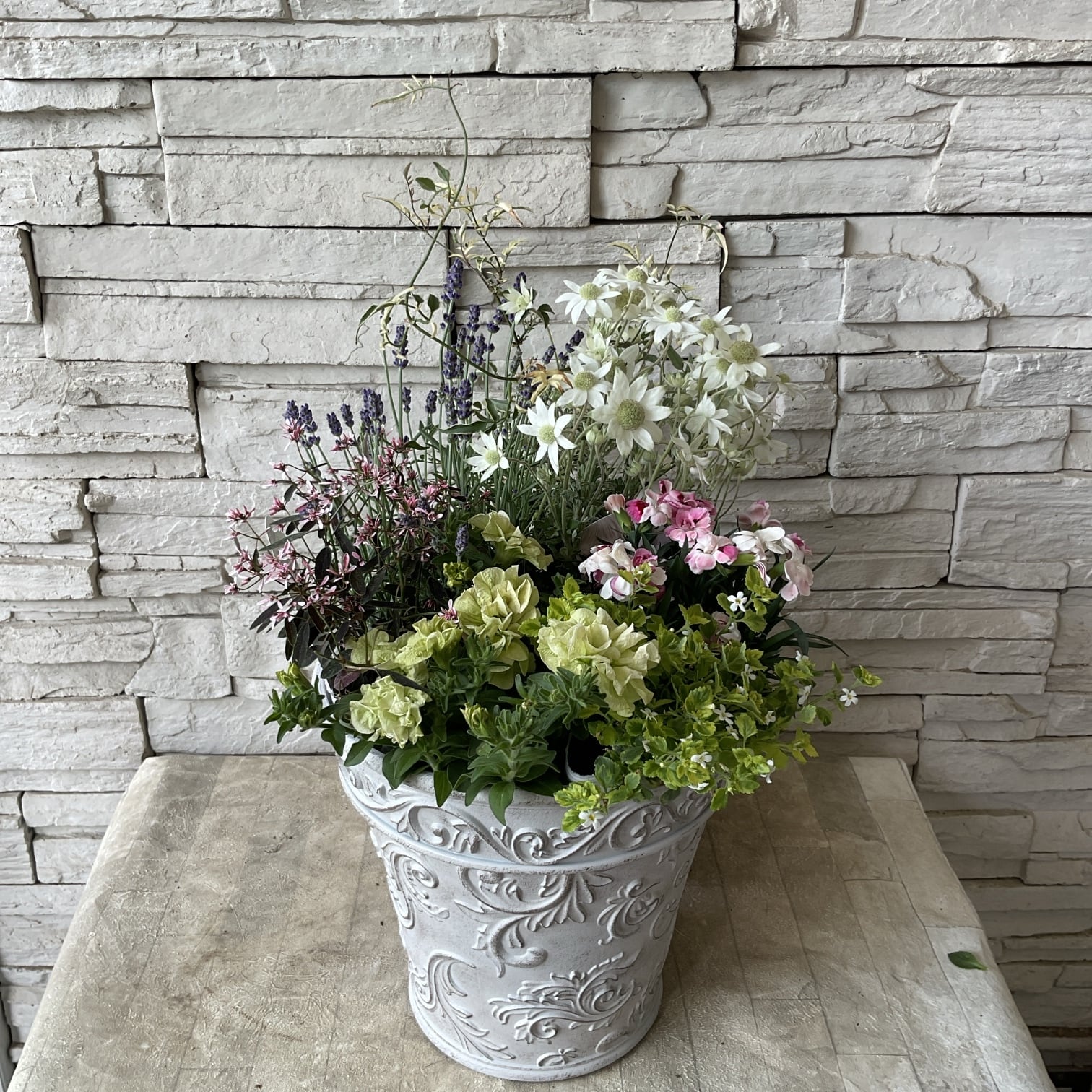 自分で作る寄せ植え花苗セット】ナチュラルガーデン風寄せ植え | 橋本