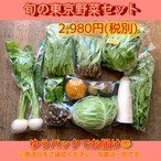 【☆12/26（月）☆ゆう̴̴パック発送】旬の東京野菜お試しセット 2,980円※お届けする地域により送料が異なります。