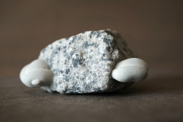 フェアリーストーン 母岩付き Fairy Stone 1137